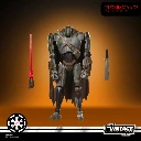 x_hasg2624_c.webp