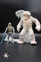 Luke Skywalker & Wampa (Hoth Attack) Star Wars Saga 2004 Custom