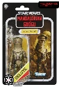 Amani Guard Star Wars The Vintage Collection 2026 N° 419