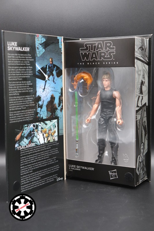 Luke Skywalker (Heir To The Empire) Star Wars The Black Series 2021 6"
