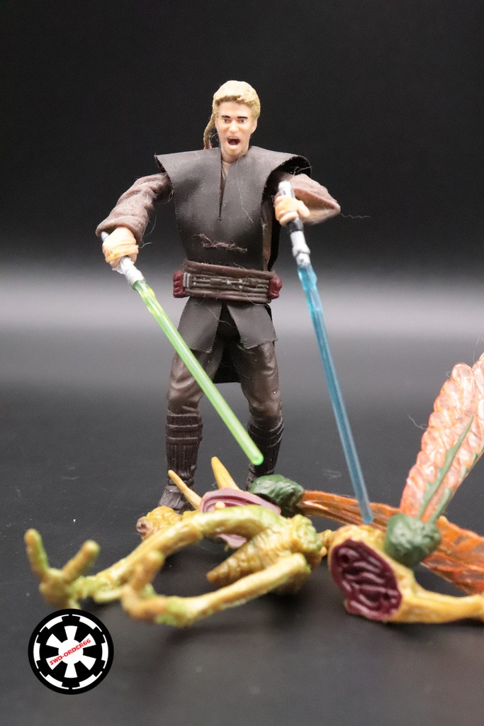 Anakin Skywalker Deluxe With Geonosian Warrior Star Wars SAGA 2002